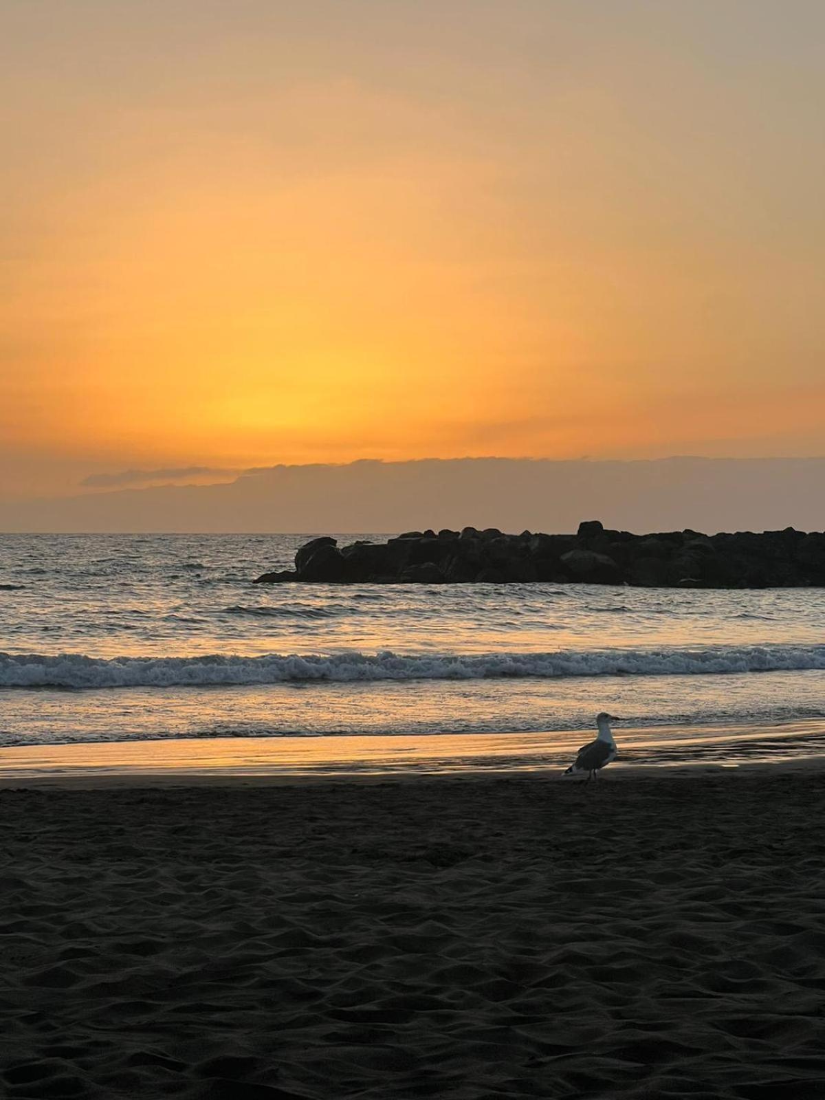 Apartamento en primera línea de playa, céntrico, tranquilo Playa de las Américas Extérieur photo